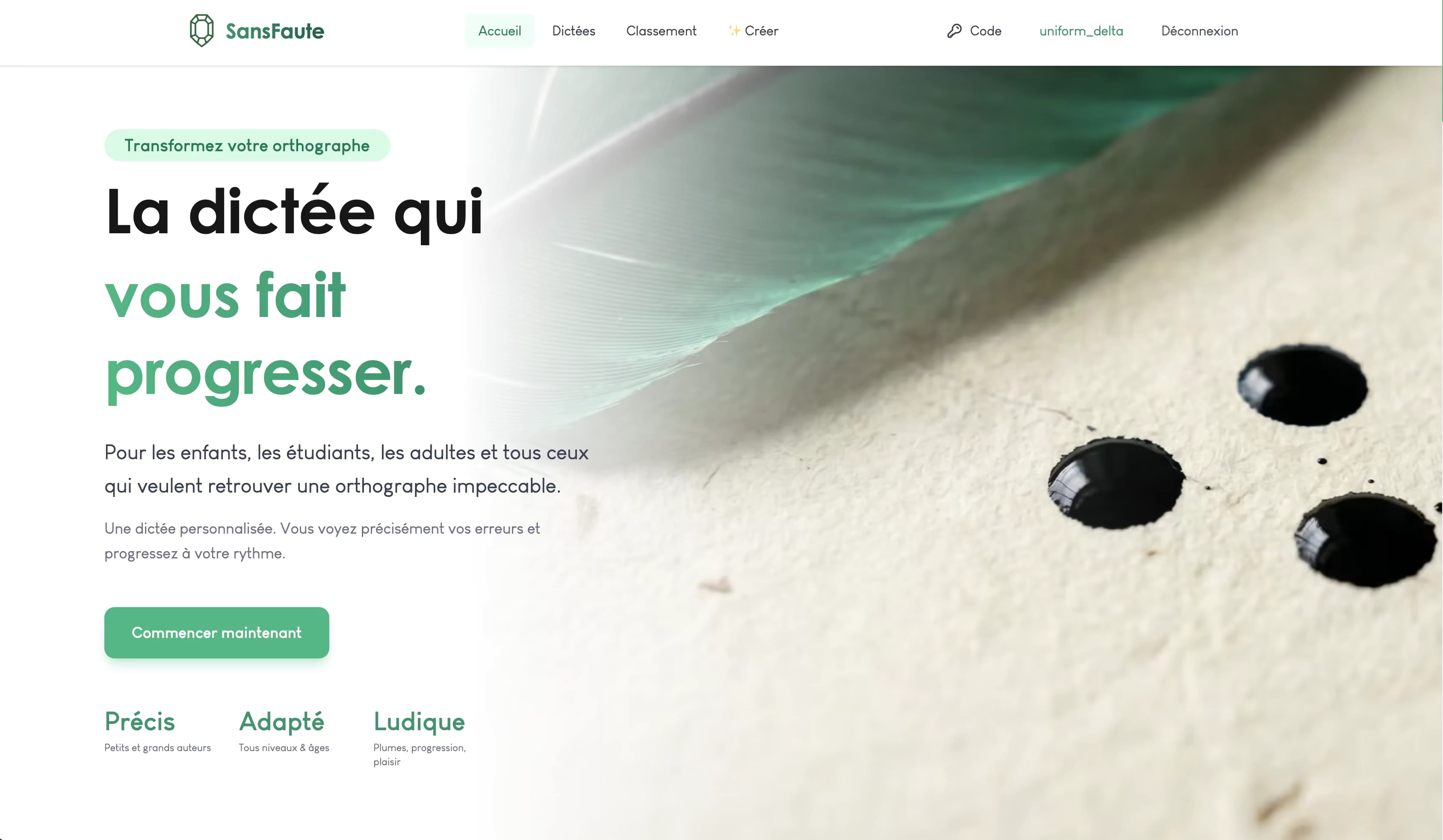 SansFaute website preview